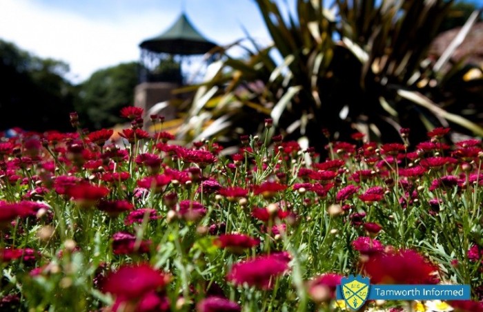 Tamworth in bloom