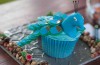 Winning Cupcake, Tamworth food festival