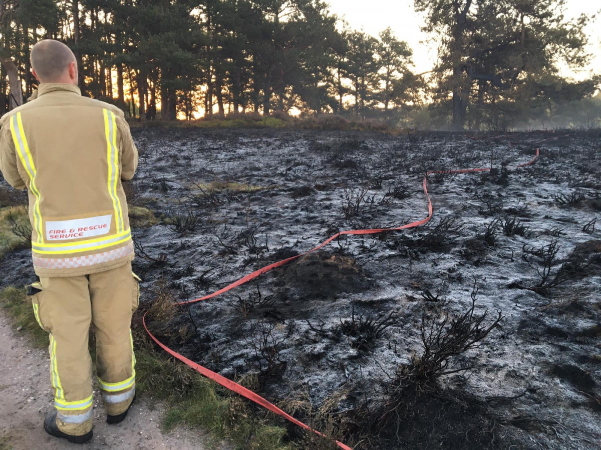 Fire damage at Meer Valley, Cannock Chase, in April 2020